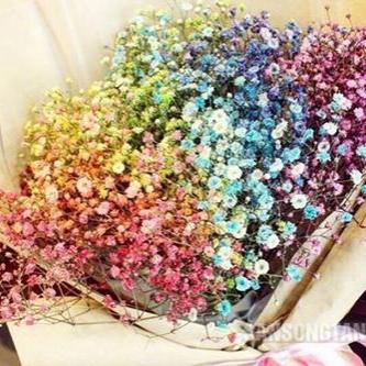 ����ӵ��һ�������Ļ�