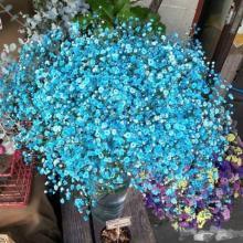 ����ӵ��һ�������Ļ�