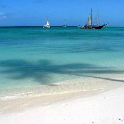 ɳ̲����������