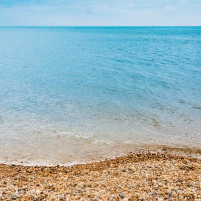 ɳ̲����������