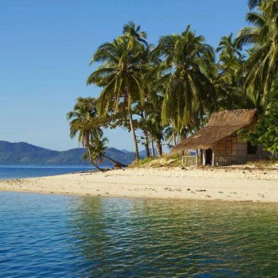 ɳ̲����������