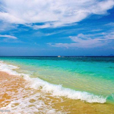 ɳ̲����������