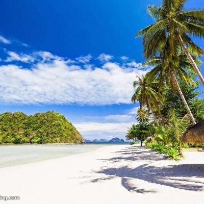 ɳ̲����������