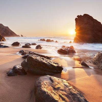 ɳ̲����������