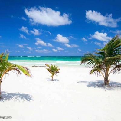 ɳ̲����������