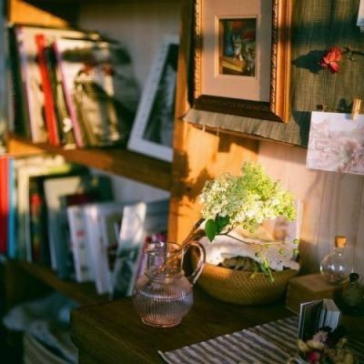 �����������