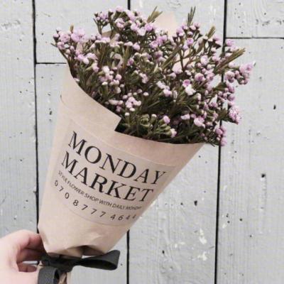 ����ҲҪ��Ѽ