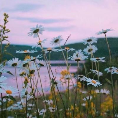 ����ҲҪ��Ѽ