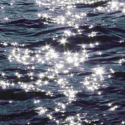 �ǳ��󺣽������䶼������