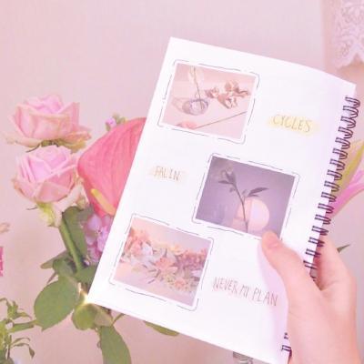 �ǳ��󺣽������䶼������