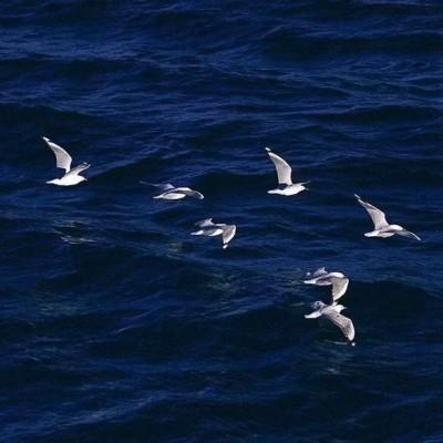 �ǳ��󺣽������䶼������