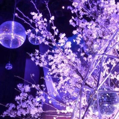 Ψ����ɫ����ǳ�����׹��