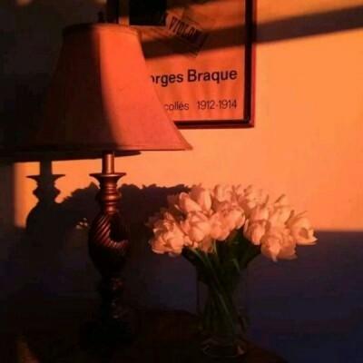 Ψ����ɫ����ǳ�����׹��