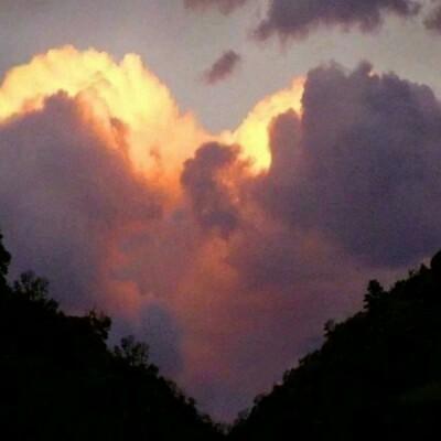 Ψ����ɫ����ǳ�����׹��