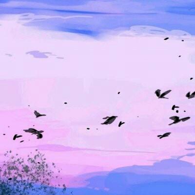 Ψ����ɫ����ǳ�����׹��