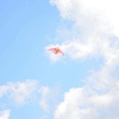 ���շݱ���ͼ