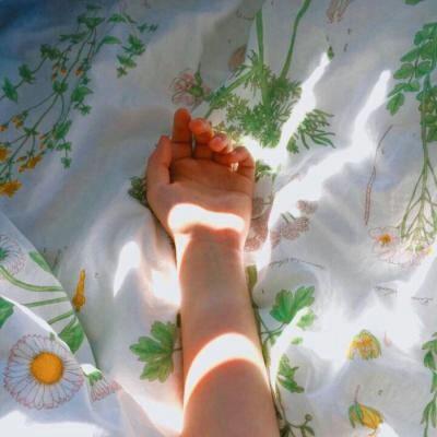 ���շݱ���ͼ