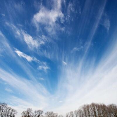 ���շݱ���ͼ