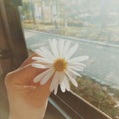 ���շݱ���ͼ