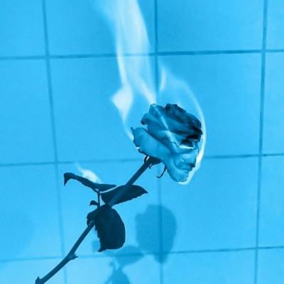 ���շݱ���ͼ