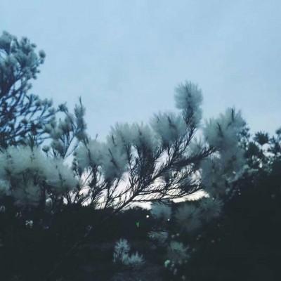 ���յı���ͼȥ��ù��