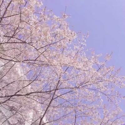 ���յı���ͼȥ��ù��