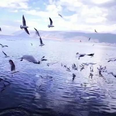 ���յı���ͼȥ��ù��