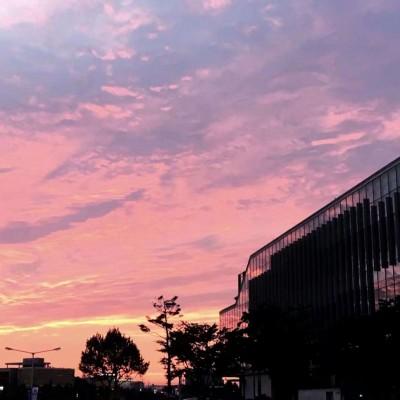 ���յı���ͼȥ��ù��