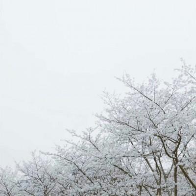 ���յı���ͼȥ��ù��