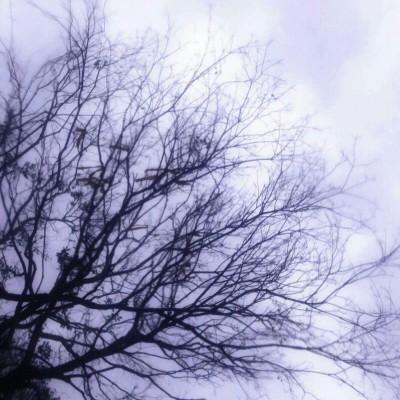 ���յı���ͼȥ��ù��