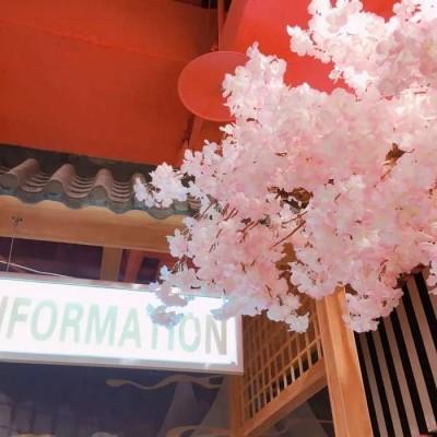 ���յı���ͼȥ��ù��