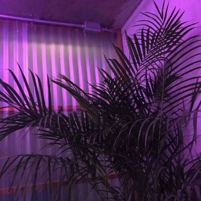 ��ɫϵ����ͼ.���ӿ�� ˮ������ �һ�����.ͼԴdtȡ��.