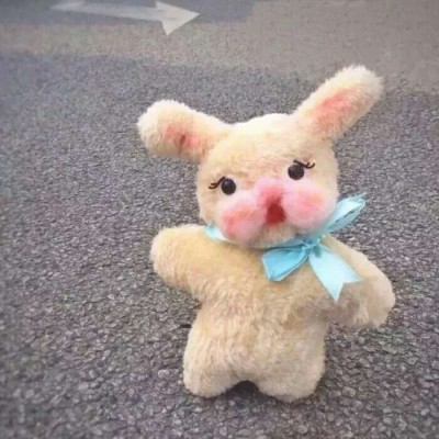 ����������/�ɰ� ͷ��