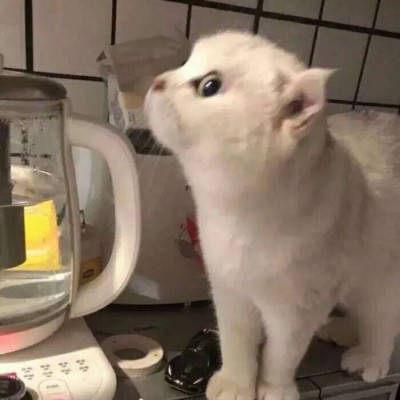 ����������/�ɰ� ͷ��