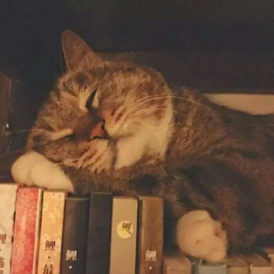 ����������/�ɰ� ͷ��