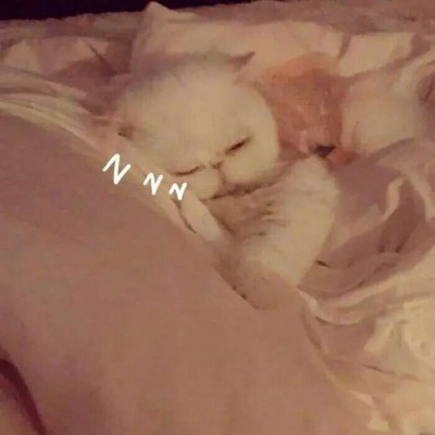 ����������/�ɰ� ͷ��