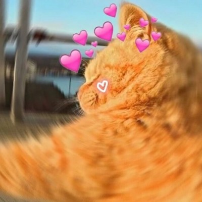 ������������ѩ����?