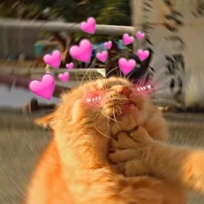 ������������ѩ����?