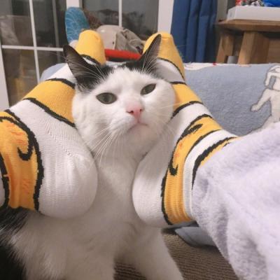 �������ҵ�����Ӵ˱�ɷۺ�ɫ