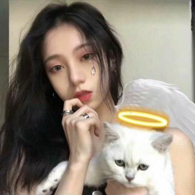 ���㿴����