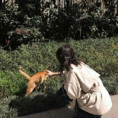 Ůͷ��|�������������