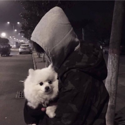 ����������ͷ��