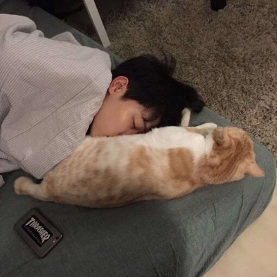 ����������ͷ��