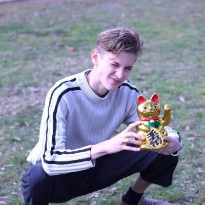 ��������insŷ��������ͷ��