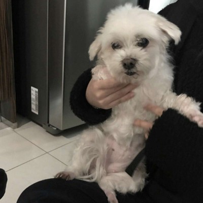 ����ͷ������