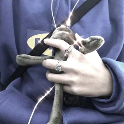 ��ͷ
?����