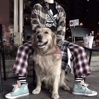 ����:��λ��ͷ| �������ӳ������ ��������˵�ڽ�����