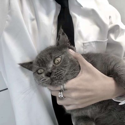 ����:��λ��ͷ| �������ӳ������ ��������˵�ڽ�����