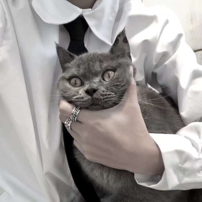 ����:��λ��ͷ| �������ӳ������ ��������˵�ڽ�����