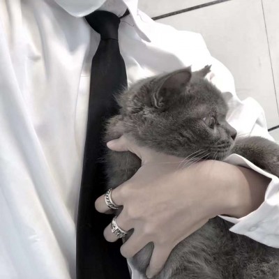 ����:��λ��ͷ| �������ӳ������ ��������˵�ڽ�����